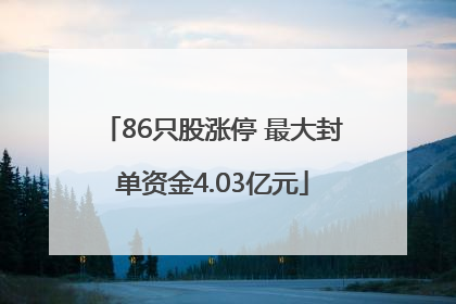 86只股涨停 最大封单资金4.03亿元