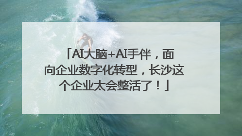 AI大脑+AI手伴，面向企业数字化转型，长沙这个企业太会整活了！
