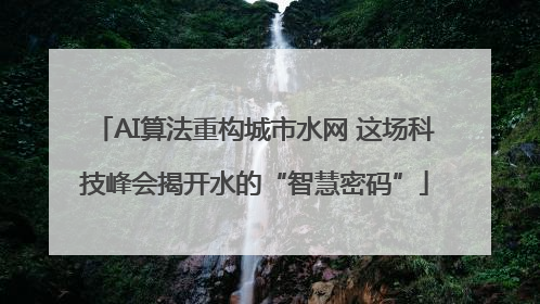 AI算法重构城市水网 这场科技峰会揭开水的“智慧密码”