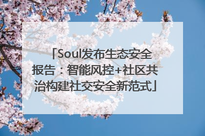 Soul发布生态安全报告：智能风控+社区共治构建社交安全新范式